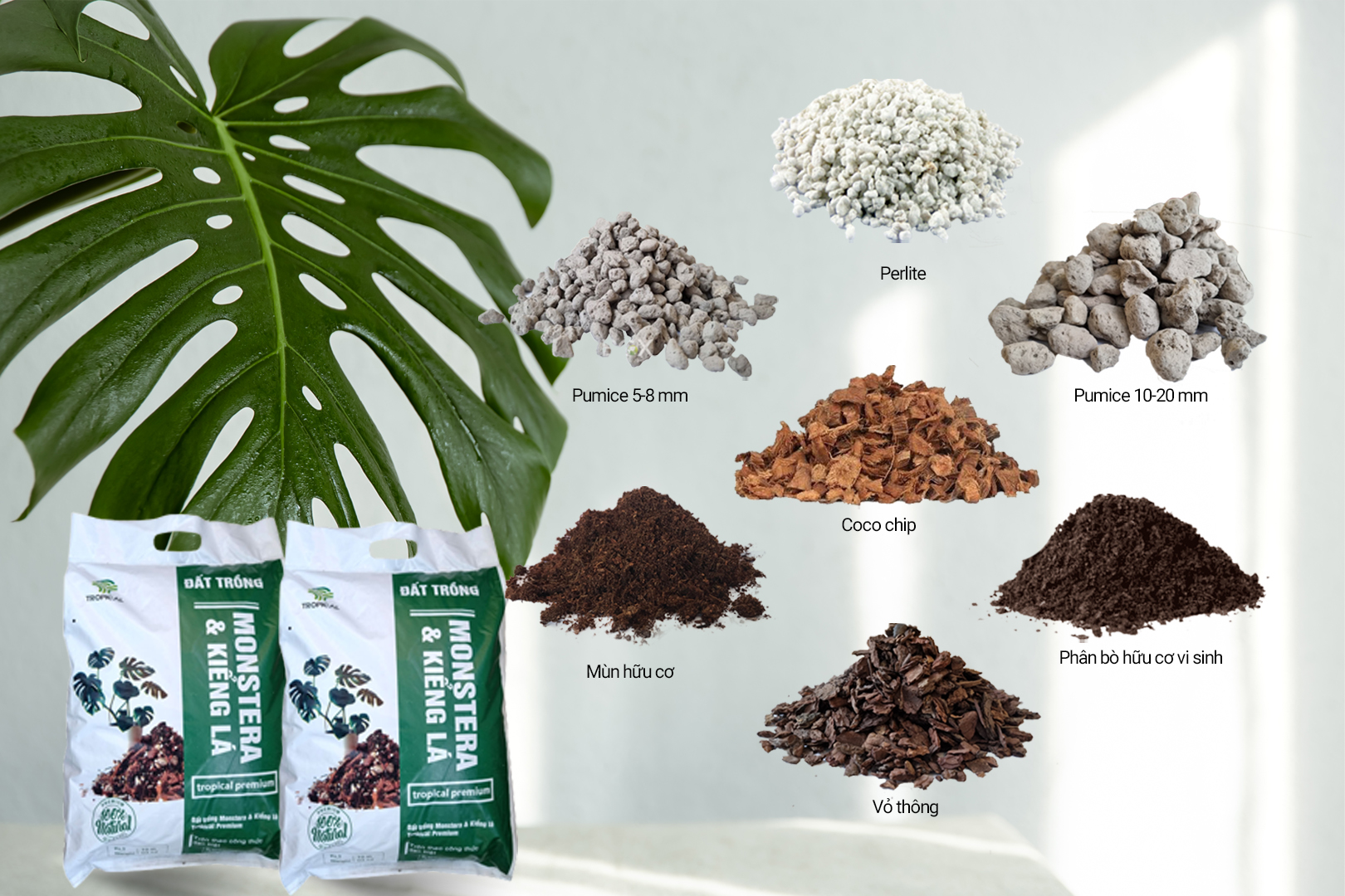 Monstera ingredients